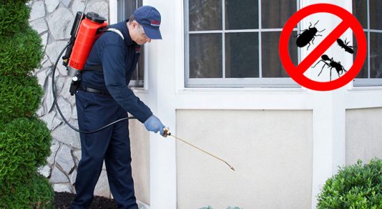 Hayrabolu Gümüşkurt İlaçlama böcek ilaçlama ve haşere kontrolü — ilaclama-tr.com